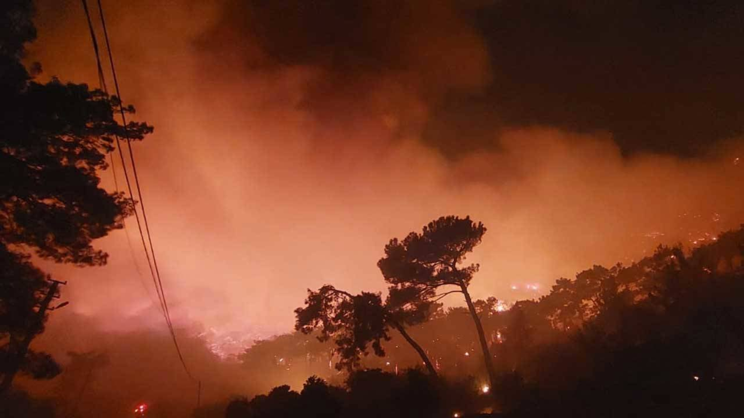 13 bin hektar kül oldu